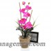 World Menagerie Silk Orchid with Ceramic Pot WDMG1753