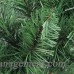 The Holiday Aisle Colorado Spruce Artificial Christmas Garland THLY2977
