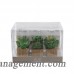 Bloomsbury Market Succulents in Pot Place Card Holder BLMK7880