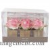 Gracie Oaks Rose in Wood Pot Table Sign Place Card Holder GRCS4027